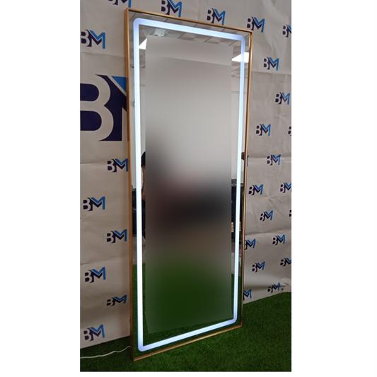 Mirror with integrated white led light